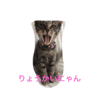 GVB＆YUME:1（個別スタンプ：14）