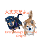 ラッキーな犬たち：パイパーとプリンセス（個別スタンプ：1）