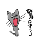 meow ＆ tai go 2（個別スタンプ：2）