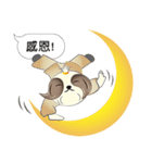 Shih Tzu Dog- FiFi: Mid-Autumn Festival（個別スタンプ：13）