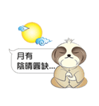 Shih Tzu Dog- FiFi: Mid-Autumn Festival（個別スタンプ：15）