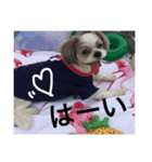 Tmrr（個別スタンプ：14）