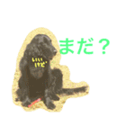 くろーい犬 /日常（個別スタンプ：13）