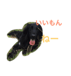 くろーい犬 /日常（個別スタンプ：22）