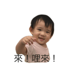 wines and vegetables（個別スタンプ：6）