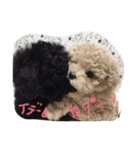 柚子＆杏（個別スタンプ：2）