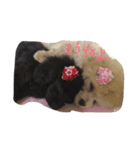 柚子＆杏（個別スタンプ：4）