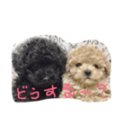 柚子＆杏（個別スタンプ：13）