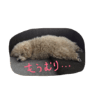 柚子＆杏（個別スタンプ：16）