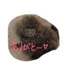 柚子＆杏（個別スタンプ：17）