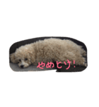柚子＆杏（個別スタンプ：21）
