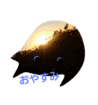 よく使う言葉 海シリーズ（個別スタンプ：5）