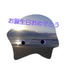 よく使う言葉 海シリーズ（個別スタンプ：29）