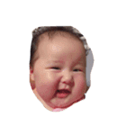 ayy（個別スタンプ：15）