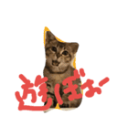 むぎたんの日常（個別スタンプ：3）