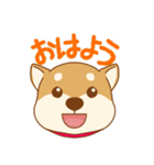 柴犬の顔（個別スタンプ：1）