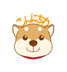 柴犬の顔（個別スタンプ：2）