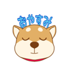 柴犬の顔（個別スタンプ：3）