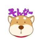 柴犬の顔（個別スタンプ：8）