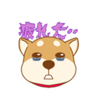 柴犬の顔（個別スタンプ：18）