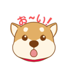 柴犬の顔（個別スタンプ：19）