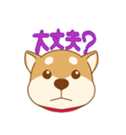 柴犬の顔（個別スタンプ：22）