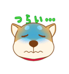 柴犬の顔（個別スタンプ：32）