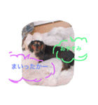 Friendly Mahha ＆ Tom（個別スタンプ：4）