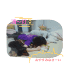 Friendly Mahha ＆ Tom（個別スタンプ：5）