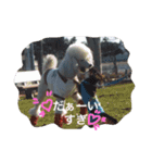Friendly Mahha ＆ Tom（個別スタンプ：7）