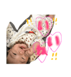 hanastamp04（個別スタンプ：3）