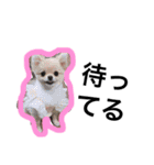 FOREVER FRIEND（個別スタンプ：5）
