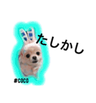 FOREVER FRIEND（個別スタンプ：10）