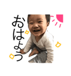 あらごっちゅの日常用（個別スタンプ：1）