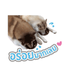 CYBER HUMMER Sup'TarLomBahMoo（個別スタンプ：26）