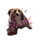 サラちゃんのスタンプ（個別スタンプ：12）