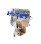 我が家noあきちゃん☆（個別スタンプ：22）