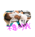 chi day（個別スタンプ：2）