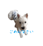 Gin chan life（個別スタンプ：11）
