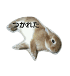 うちのえいと（個別スタンプ：1）