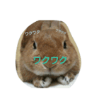 うちのえいと（個別スタンプ：7）