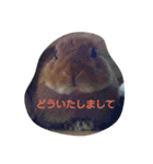 うちのえいと（個別スタンプ：8）