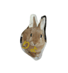 うちのえいと（個別スタンプ：10）