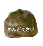 うちのえいと（個別スタンプ：13）