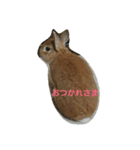 うちのえいと（個別スタンプ：14）
