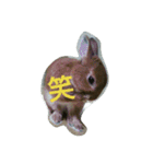 うちのえいと（個別スタンプ：17）