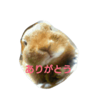 うちのえいと（個別スタンプ：19）