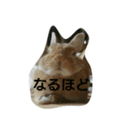 うちのえいと（個別スタンプ：20）