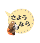 ビーグル犬の吹き出しスタンプ（個別スタンプ：10）