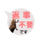 ビーグル犬の吹き出しスタンプ（個別スタンプ：15）